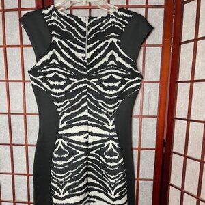 Zebra Print Dress Size Medium